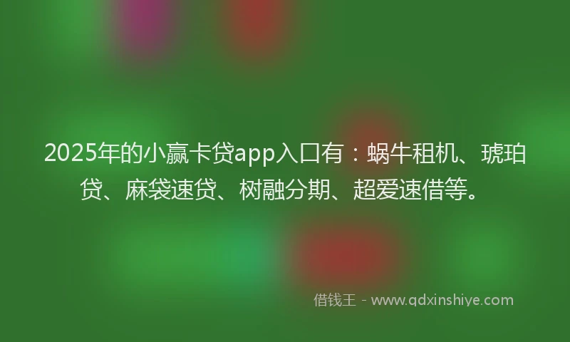 2025年的小赢卡贷app入口有：蜗牛租机、琥珀贷、麻袋速贷、树融分期、超爱速借等。