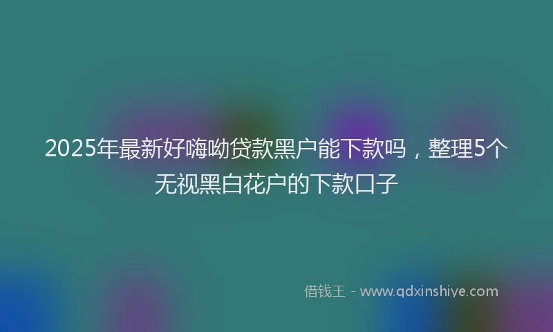 2025年最新好嗨呦贷款黑户能下款吗，整理5个无视黑白花户的下款口子