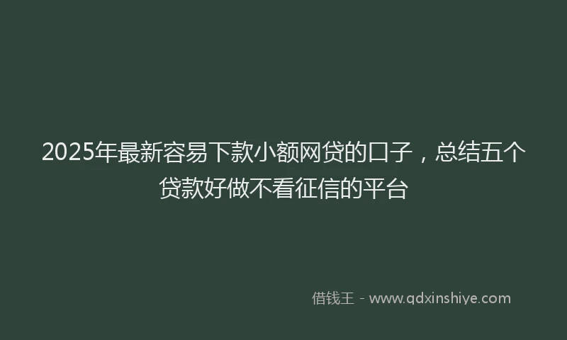 2025年最新容易下款小额网贷的口子，总结五个贷款好做不看征信的平台