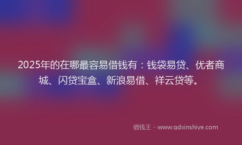 2025年的在哪最容易借钱有：钱袋易贷、优者商城、闪贷宝盒、新浪易借、祥云贷等。