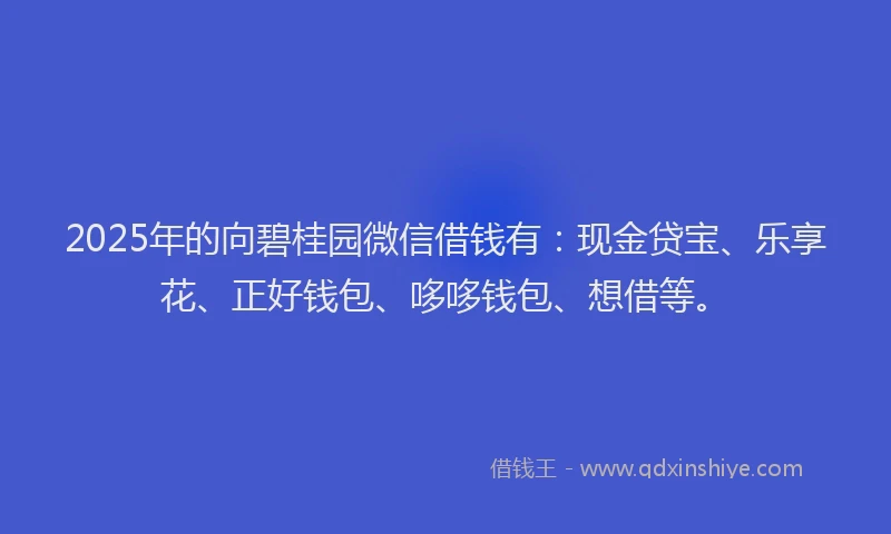 2025年的向碧桂园微信借钱有：现金贷宝、乐享花、正好钱包、哆哆钱包、想借等。