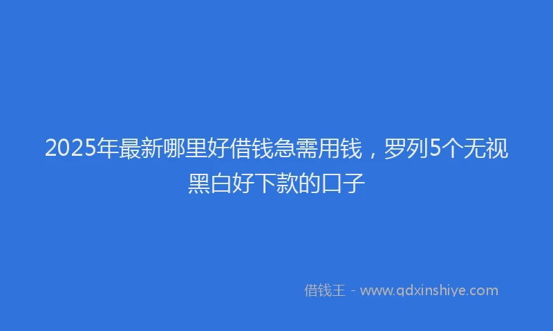 2025年最新哪里好借钱急需用钱，罗列5个无视黑白好下款的口子