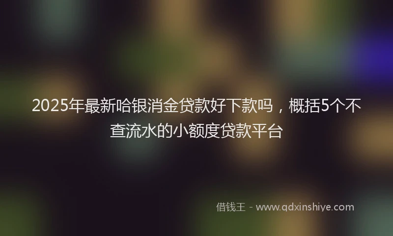 2025年最新哈银消金贷款好下款吗，概括5个不查流水的小额度贷款平台