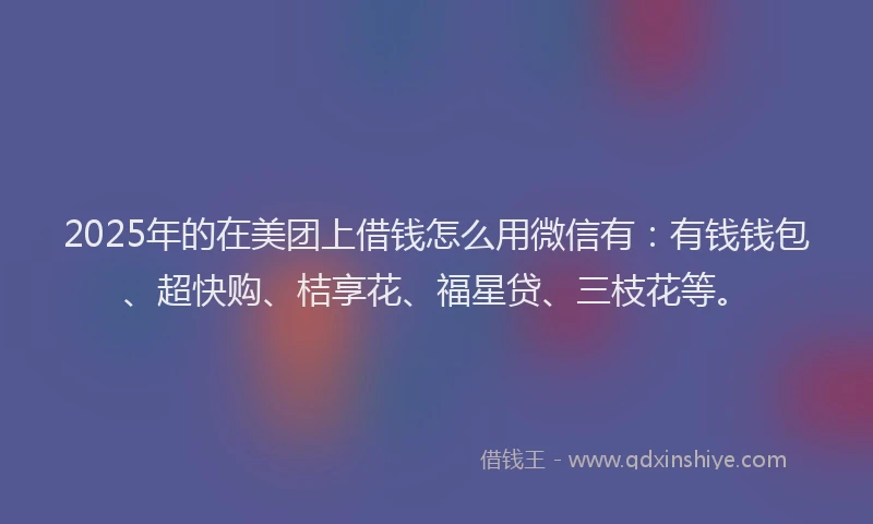 2025年的在美团上借钱怎么用微信有：有钱钱包、超快购、桔享花、福星贷、三枝花等。