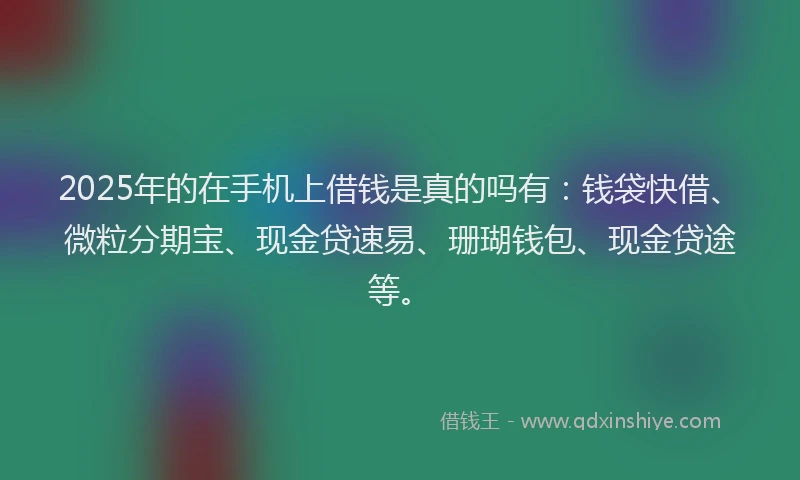 2025年的在手机上借钱是真的吗有：钱袋快借、微粒分期宝、现金贷速易、珊瑚钱包、现金贷途等。