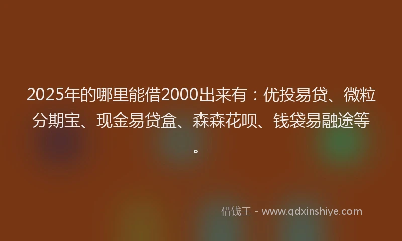 2025年的哪里能借2000出来有：优投易贷、微粒分期宝、现金易贷盒、森森花呗、钱袋易融途等。