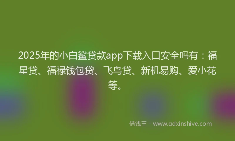 2025年的小白鲨贷款app下载入口安全吗有：福星贷、福禄钱包贷、飞鸟贷、新机易购、爱小花等。
