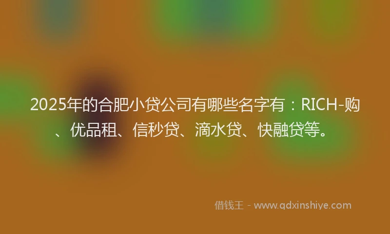 2025年的合肥小贷公司有哪些名字有：RICH-购、优品租、信秒贷、滴水贷、快融贷等。
