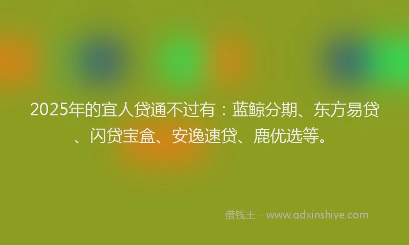 2025年的宜人贷通不过有：蓝鲸分期、东方易贷、闪贷宝盒、安逸速贷、鹿优选等。