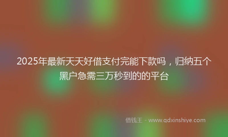 2025年最新天天好借支付完能下款吗，归纳五个黑户急需三万秒到的的平台