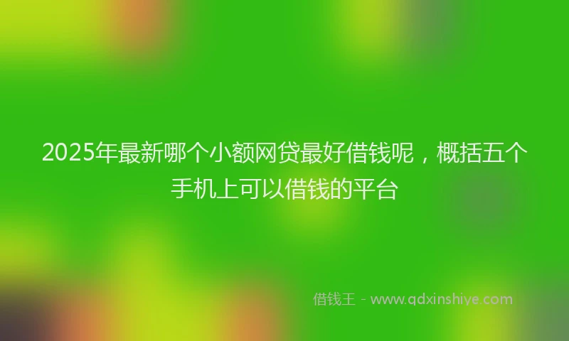 2025年最新哪个小额网贷最好借钱呢，概括五个手机上可以借钱的平台