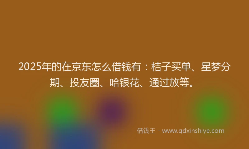 2025年的在京东怎么借钱有：桔子买单、星梦分期、投友圈、哈银花、通过放等。