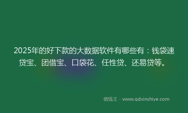 2025年的好下款的大数据软件有哪些有：钱袋速贷宝、团借宝、口袋花、任性贷、还易贷等。