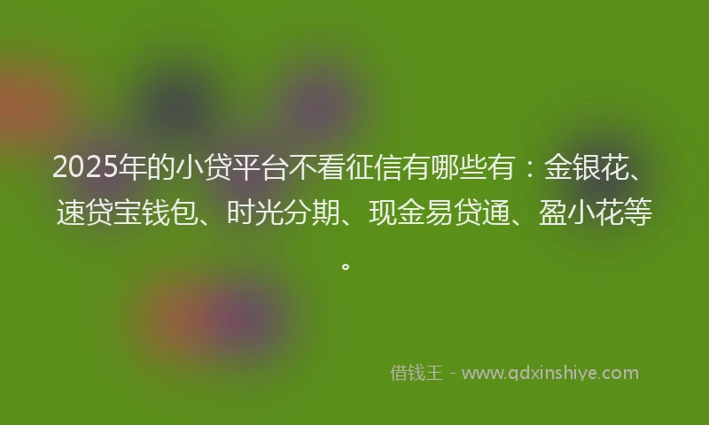 2025年的小贷平台不看征信有哪些有：金银花、速贷宝钱包、时光分期、现金易贷通、盈小花等。