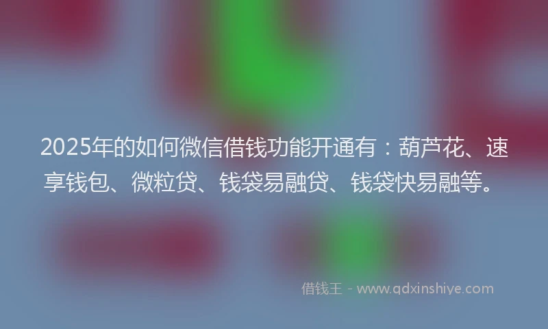 2025年的如何微信借钱功能开通有：葫芦花、速享钱包、微粒贷、钱袋易融贷、钱袋快易融等。
