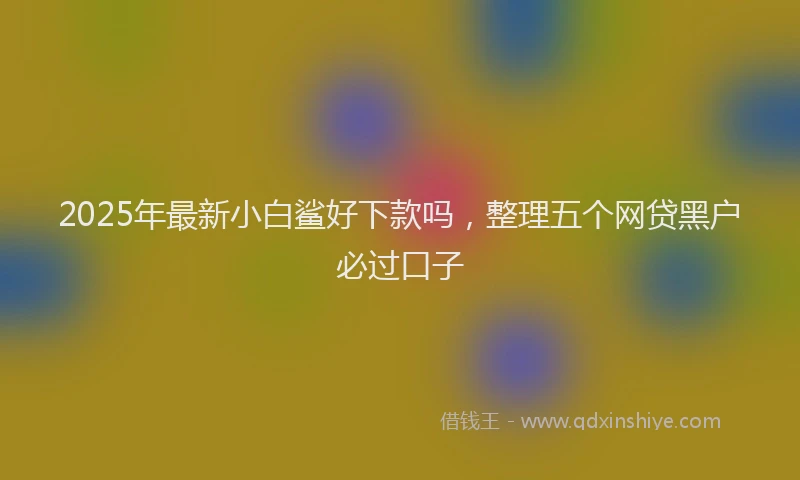 2025年最新小白鲨好下款吗，整理五个网贷黑户必过口子