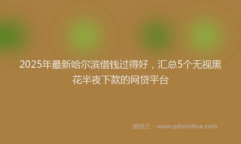 2025年最新哈尔滨借钱过得好，汇总5个无视黑花半夜下款的网贷平台