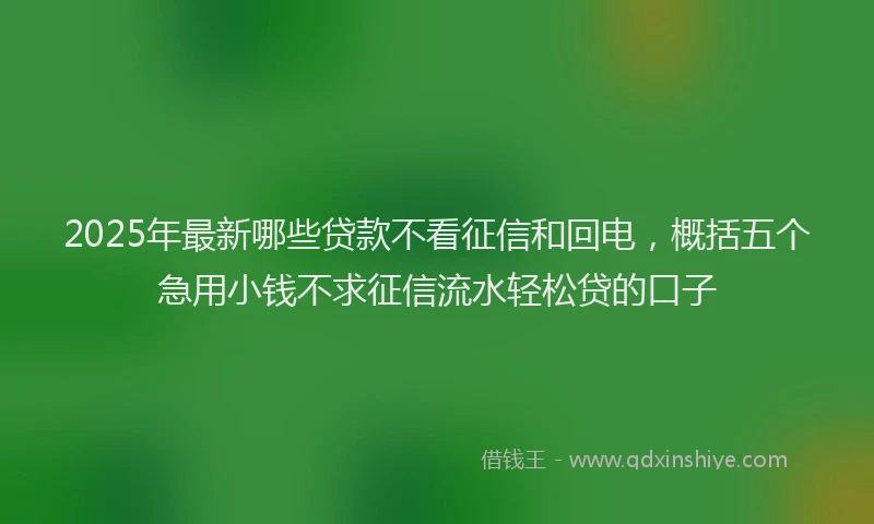 2025年最新哪些贷款不看征信和回电，概括五个急用小钱不求征信流水轻松贷的口子