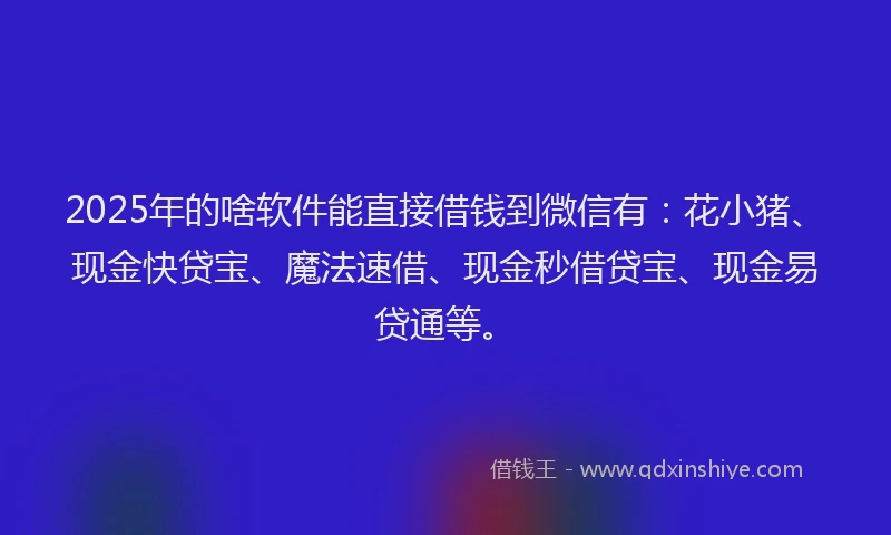 2025年的啥软件能直接借钱到微信有：花小猪、现金快贷宝、魔法速借、现金秒借贷宝、现金易贷通等。