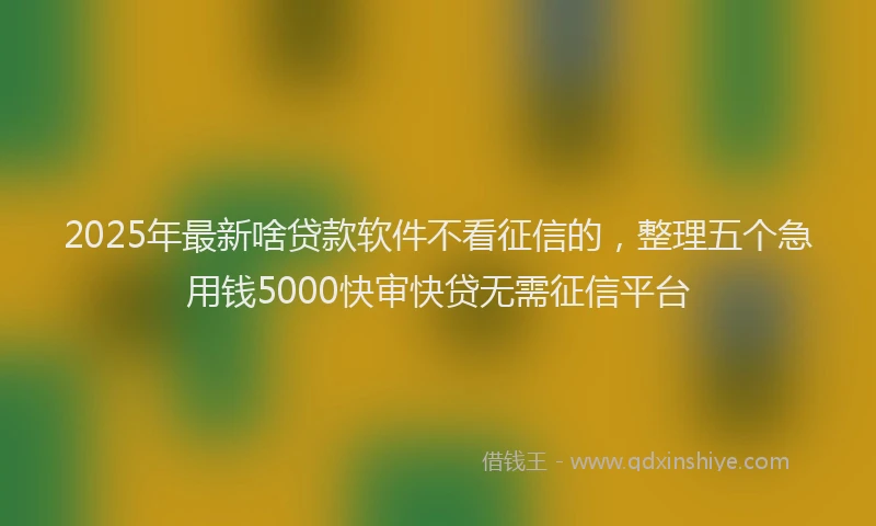 2025年最新啥贷款软件不看征信的，整理五个急用钱5000快审快贷无需征信平台
