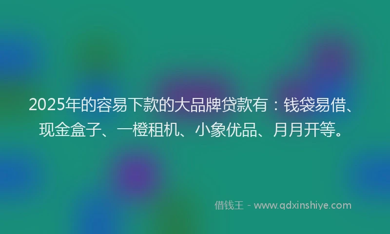 2025年的容易下款的大品牌贷款有：钱袋易借、现金盒子、一橙租机、小象优品、月月开等。