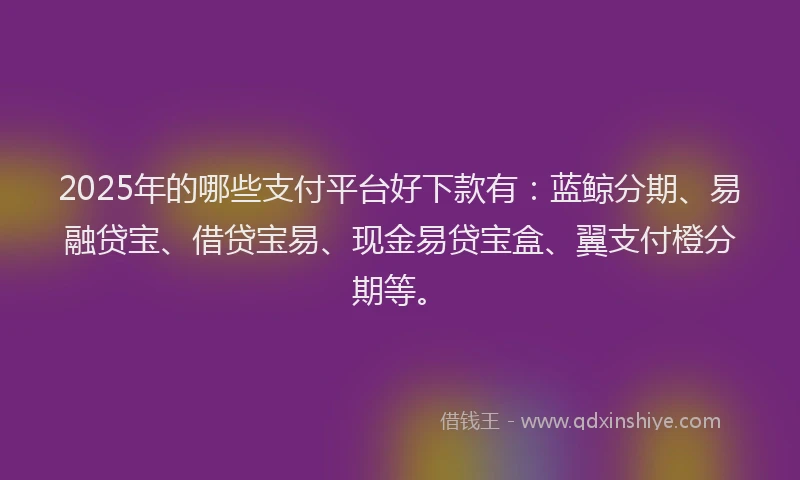 2025年的哪些支付平台好下款有：蓝鲸分期、易融贷宝、借贷宝易、现金易贷宝盒、翼支付橙分期等。