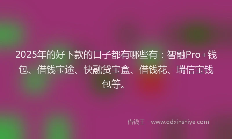 2025年的好下款的口子都有哪些有：智融Pro+钱包、借钱宝途、快融贷宝盒、借钱花、瑞信宝钱包等。