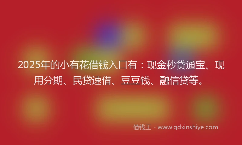 2025年的小有花借钱入口有：现金秒贷通宝、现用分期、民贷速借、豆豆钱、融信贷等。