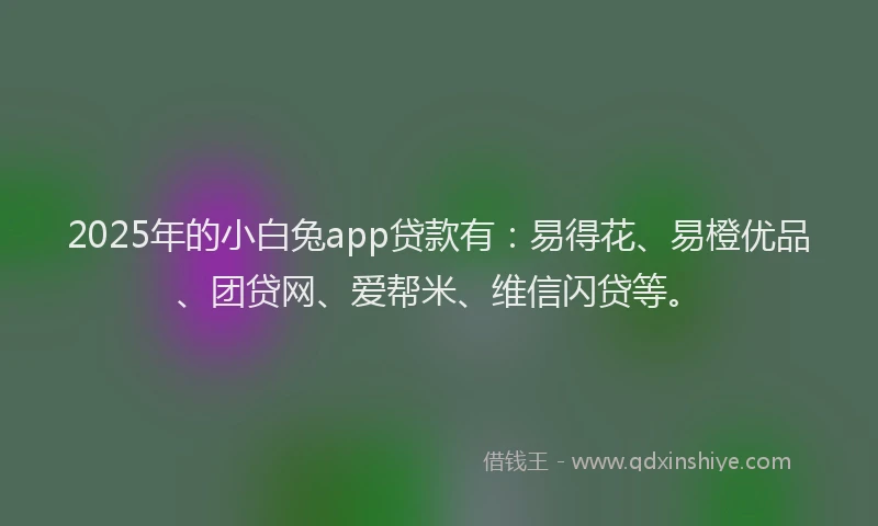 2025年的小白兔app贷款有：易得花、易橙优品、团贷网、爱帮米、维信闪贷等。
