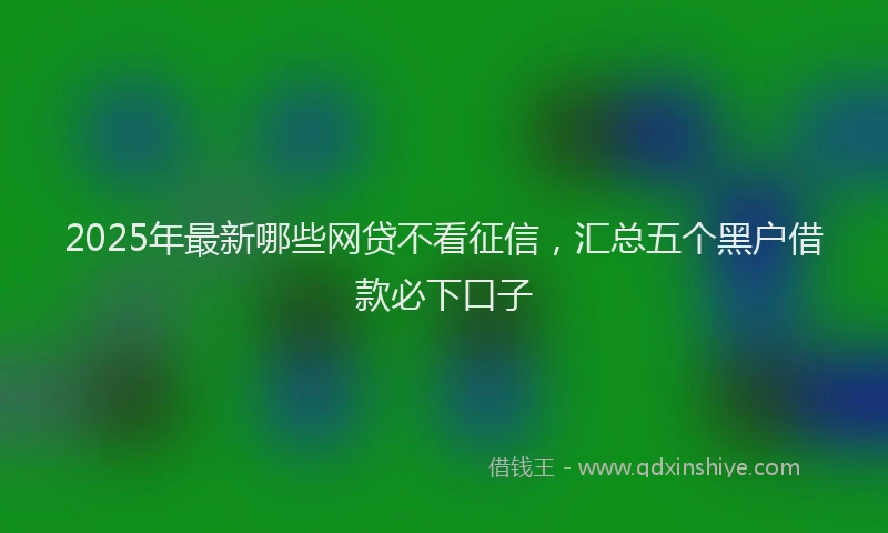 2025年最新哪些网贷不看征信，汇总五个黑户借款必下口子