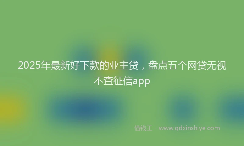2025年最新好下款的业主贷，盘点五个网贷无视不查征信app