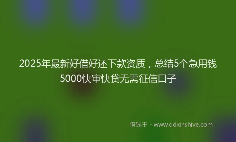 2025年最新好借好还下款资质，总结5个急用钱5000快审快贷无需征信口子