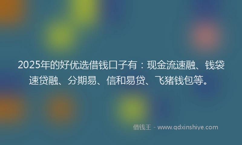 2025年的好优选借钱口子有：现金流速融、钱袋速贷融、分期易、信和易贷、飞猪钱包等。