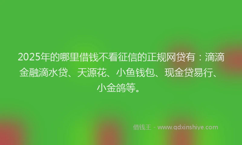 2025年的哪里借钱不看征信的正规网贷有：滴滴金融滴水贷、天源花、小鱼钱包、现金贷易行、小金鸽等。