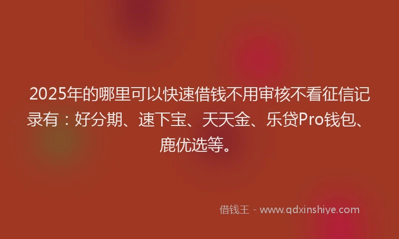 2025年的哪里可以快速借钱不用审核不看征信记录有：好分期、速下宝、天天金、乐贷Pro钱包、鹿优选等。