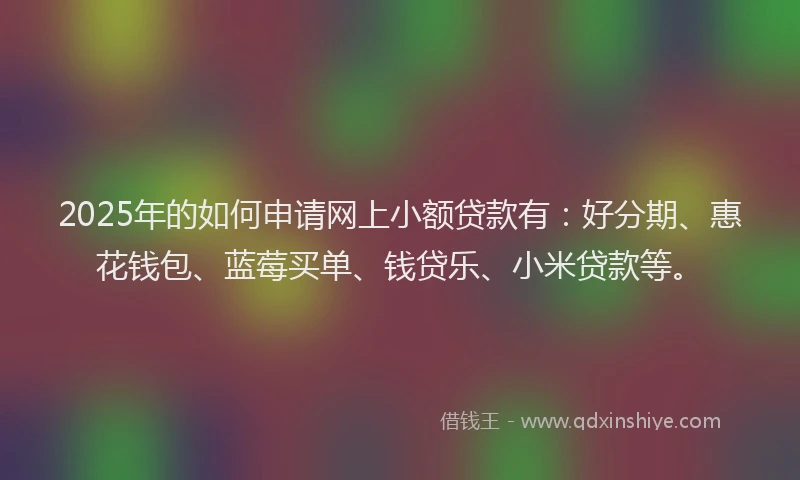 2025年的如何申请网上小额贷款有：好分期、惠花钱包、蓝莓买单、钱贷乐、小米贷款等。