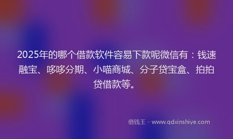 2025年的哪个借款软件容易下款呢微信有：钱速融宝、哆哆分期、小喵商城、分子贷宝盒、拍拍贷借款等。