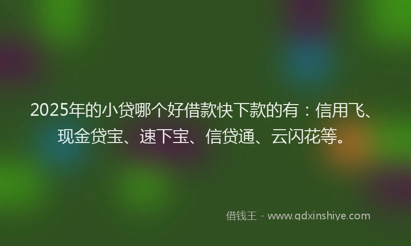 2025年的小贷哪个好借款快下款的有：信用飞、现金贷宝、速下宝、信贷通、云闪花等。