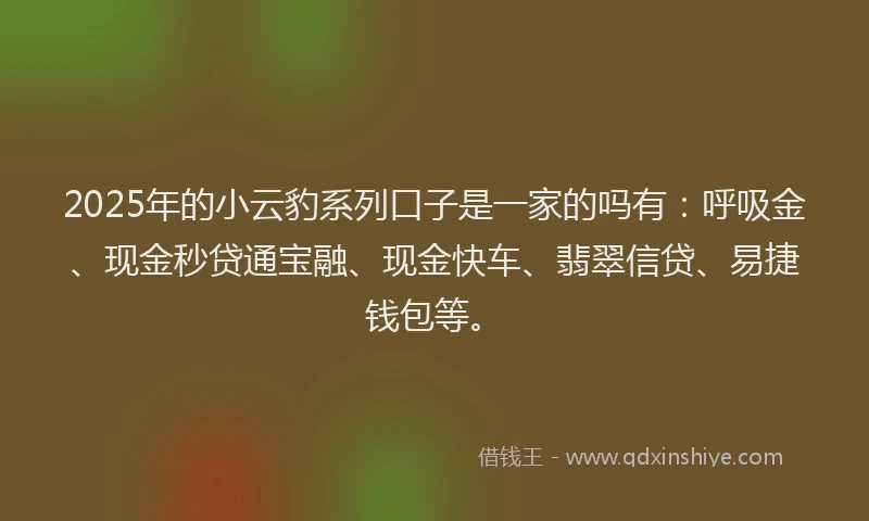 2025年的小云豹系列口子是一家的吗有：呼吸金、现金秒贷通宝融、现金快车、翡翠信贷、易捷钱包等。