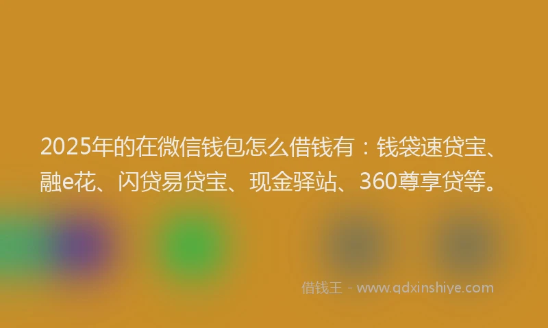 2025年的在微信钱包怎么借钱有：钱袋速贷宝、融e花、闪贷易贷宝、现金驿站、360尊享贷等。