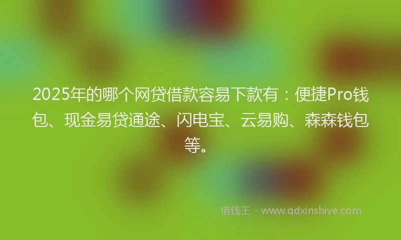 2025年的哪个网贷借款容易下款有：便捷Pro钱包、现金易贷通途、闪电宝、云易购、森森钱包等。
