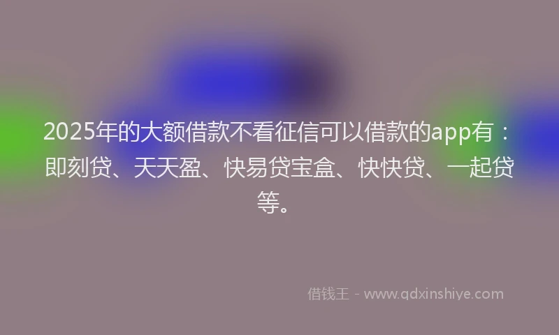 2025年的大额借款不看征信可以借款的app有：即刻贷、天天盈、快易贷宝盒、快快贷、一起贷等。