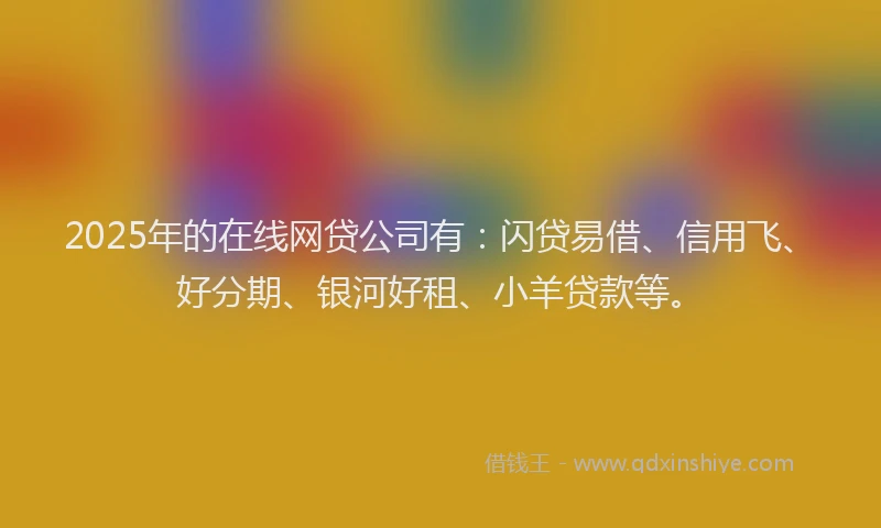 2025年的在线网贷公司有：闪贷易借、信用飞、好分期、银河好租、小羊贷款等。