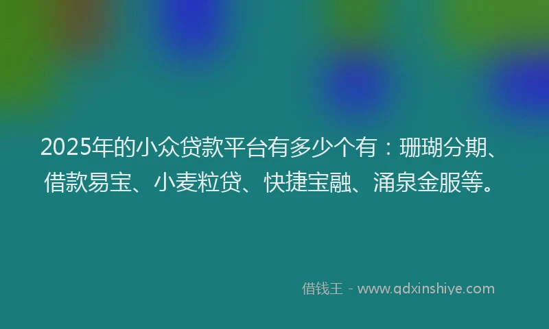 2025年的小众贷款平台有多少个有：珊瑚分期、借款易宝、小麦粒贷、快捷宝融、涌泉金服等。