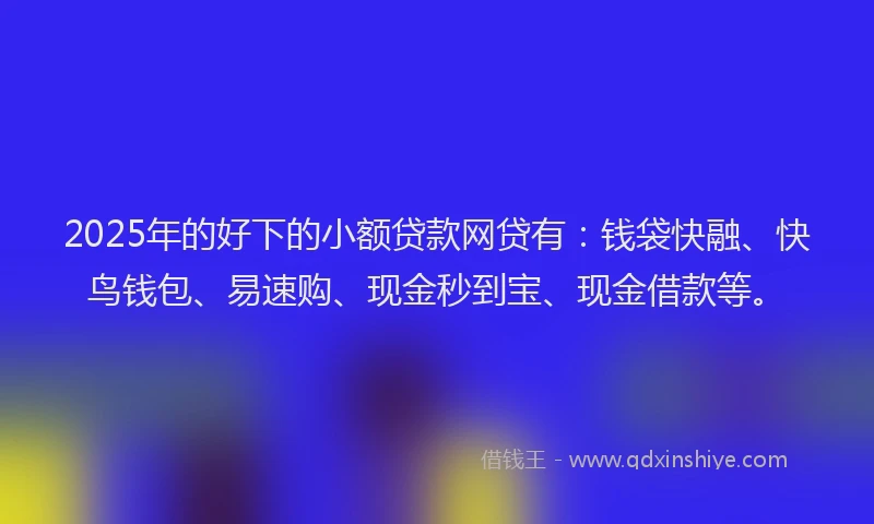 2025年的好下的小额贷款网贷有：钱袋快融、快鸟钱包、易速购、现金秒到宝、现金借款等。