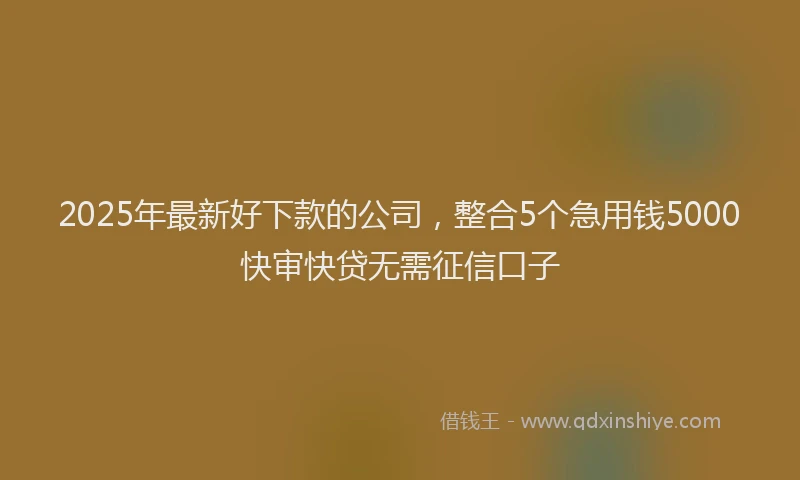 2025年最新好下款的公司，整合5个急用钱5000快审快贷无需征信口子