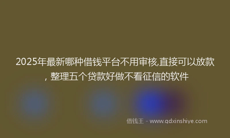 2025年最新哪种借钱平台不用审核,直接可以放款，整理五个贷款好做不看征信的软件