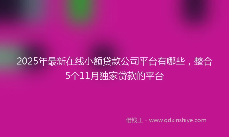 2025年最新在线小额贷款公司平台有哪些，整合5个11月独家贷款的平台