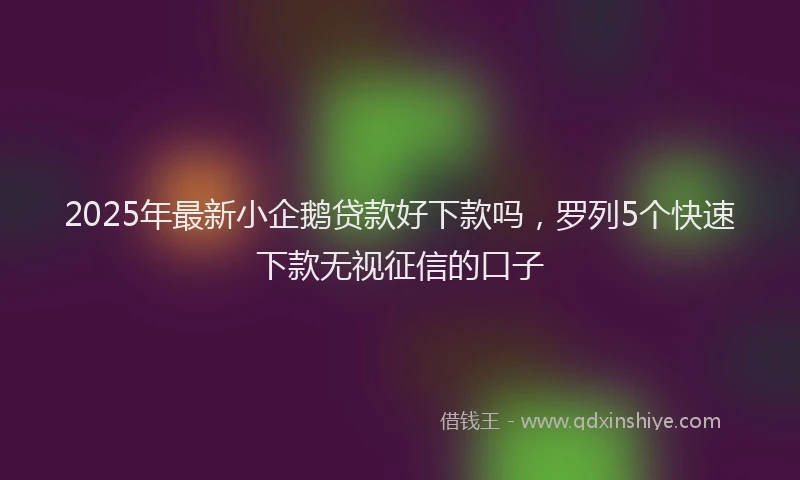 2025年最新小企鹅贷款好下款吗，罗列5个快速下款无视征信的口子