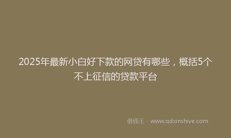 2025年最新小白好下款的网贷有哪些，概括5个不上征信的贷款平台